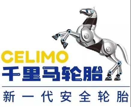 "國內(nèi)先進、國際一流"