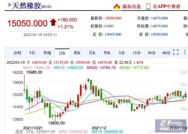 橡膠停割即將開啟，