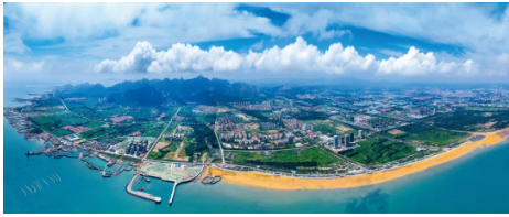 賽輪大手筆！175億元投資董家口新工廠