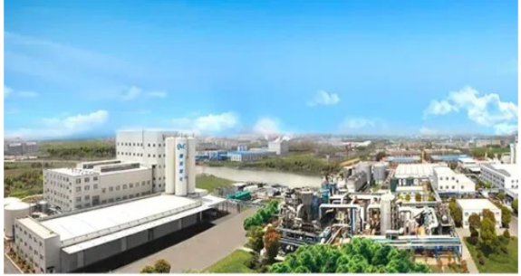 確成股份上半年凈利潤(rùn)增超4成 確成股份上半年凈利潤(rùn)增超4成