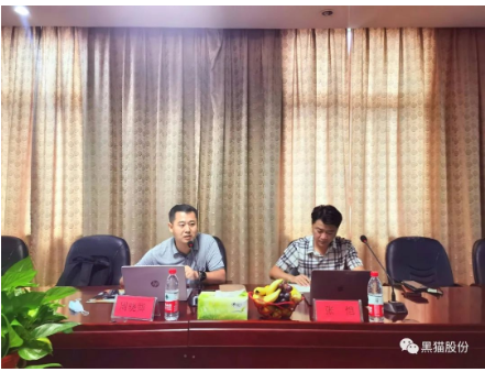 　安徽中鼎做為國(guó)內(nèi)最大的汽車(chē)橡膠零部件生產(chǎn)、出口企業(yè)，是黑貓股份差異化產(chǎn)品的重要客戶(hù)之一，此次評(píng)審為安徽中鼎第一次對(duì)黑貓公司開(kāi)展審核活動(dòng)，也是邯鄲黑貓首次接受差異化產(chǎn)品客戶(hù)方審核。